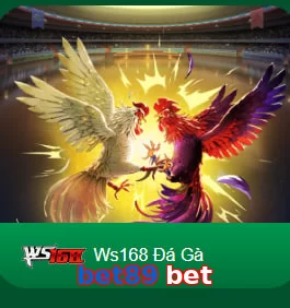 bet89 bet